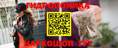 прущие крисы Пенза