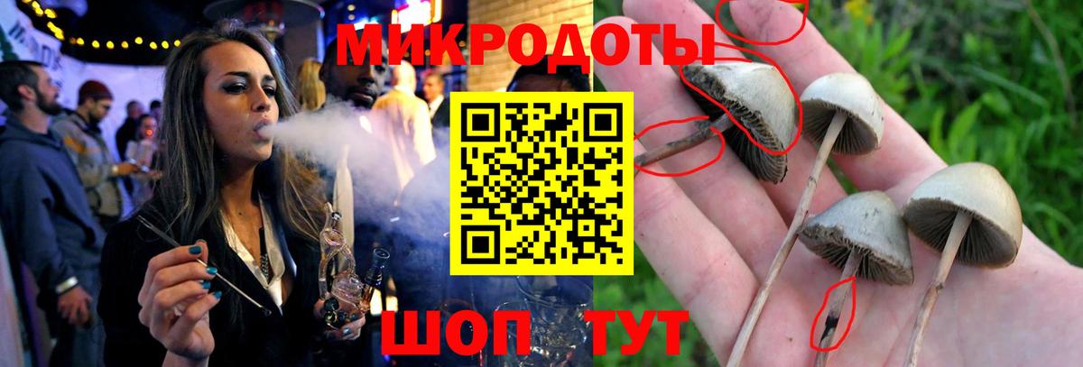 Реутов  Псилоцибиновые грибы мицелий  Вход с VPN 